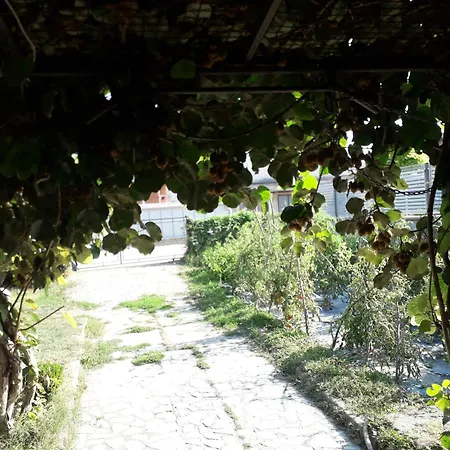2 * Struga